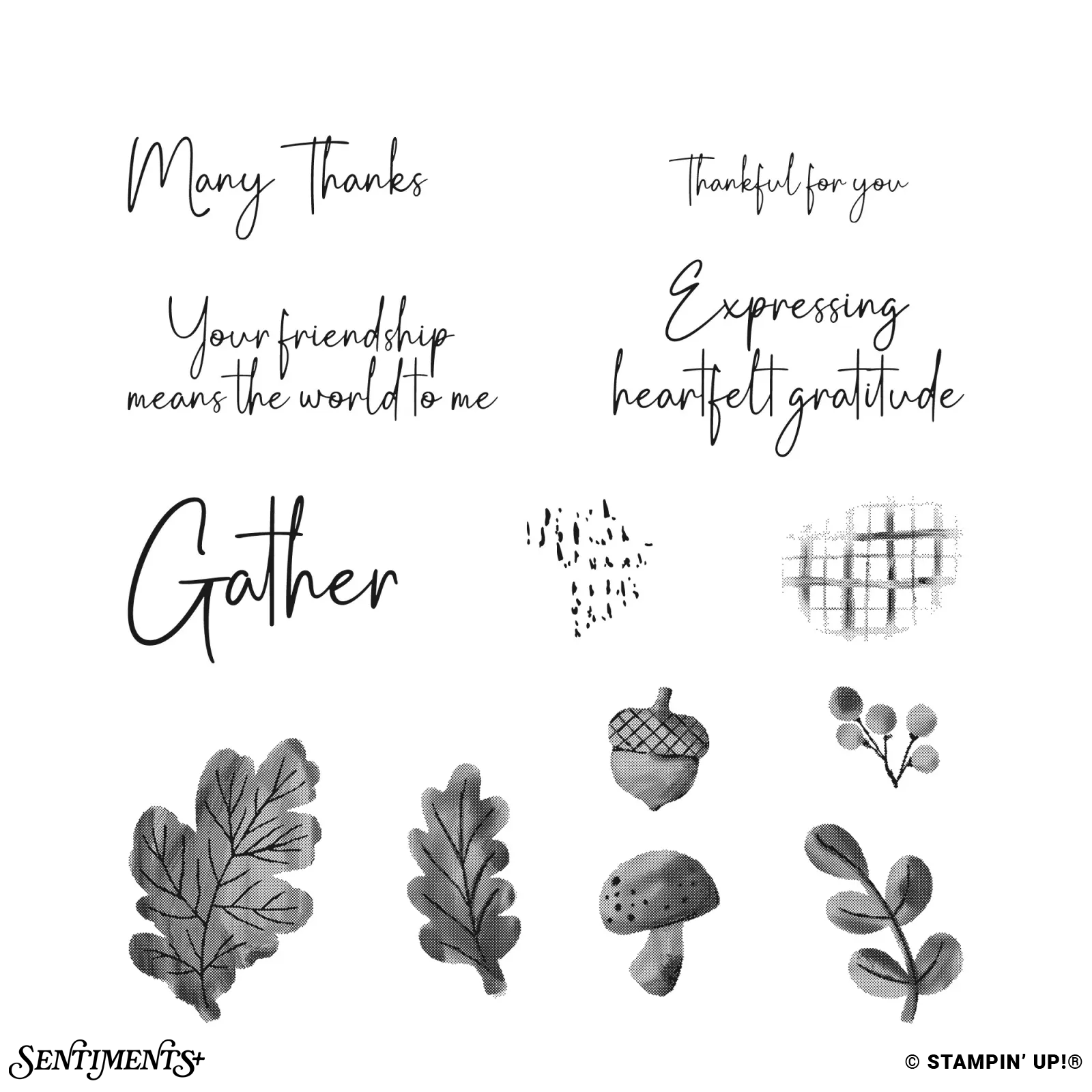 Gathering Together Stamp Set: ©Stampin' Up!®