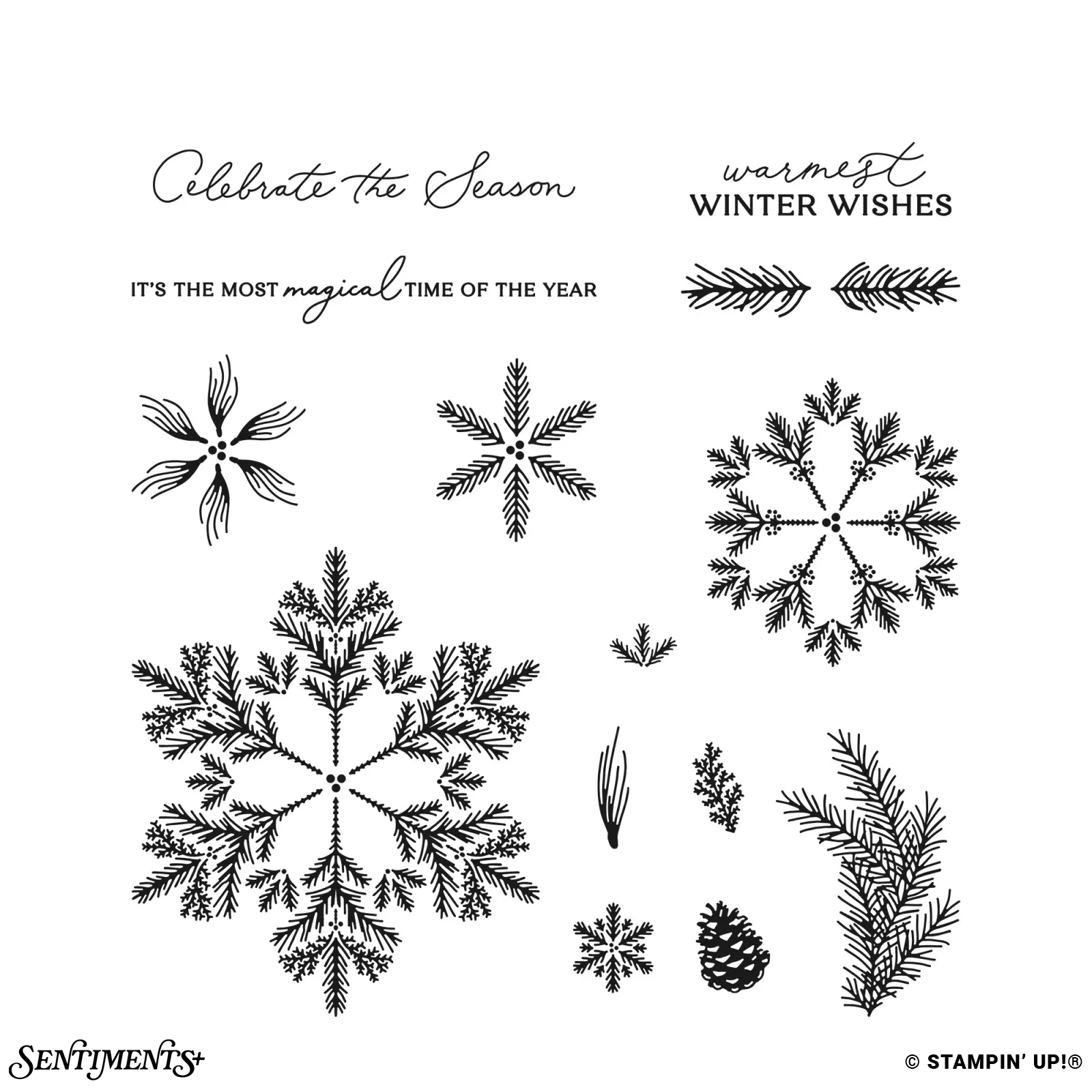 Delicate Pines Stamp Set: ©Stampin' Up!®