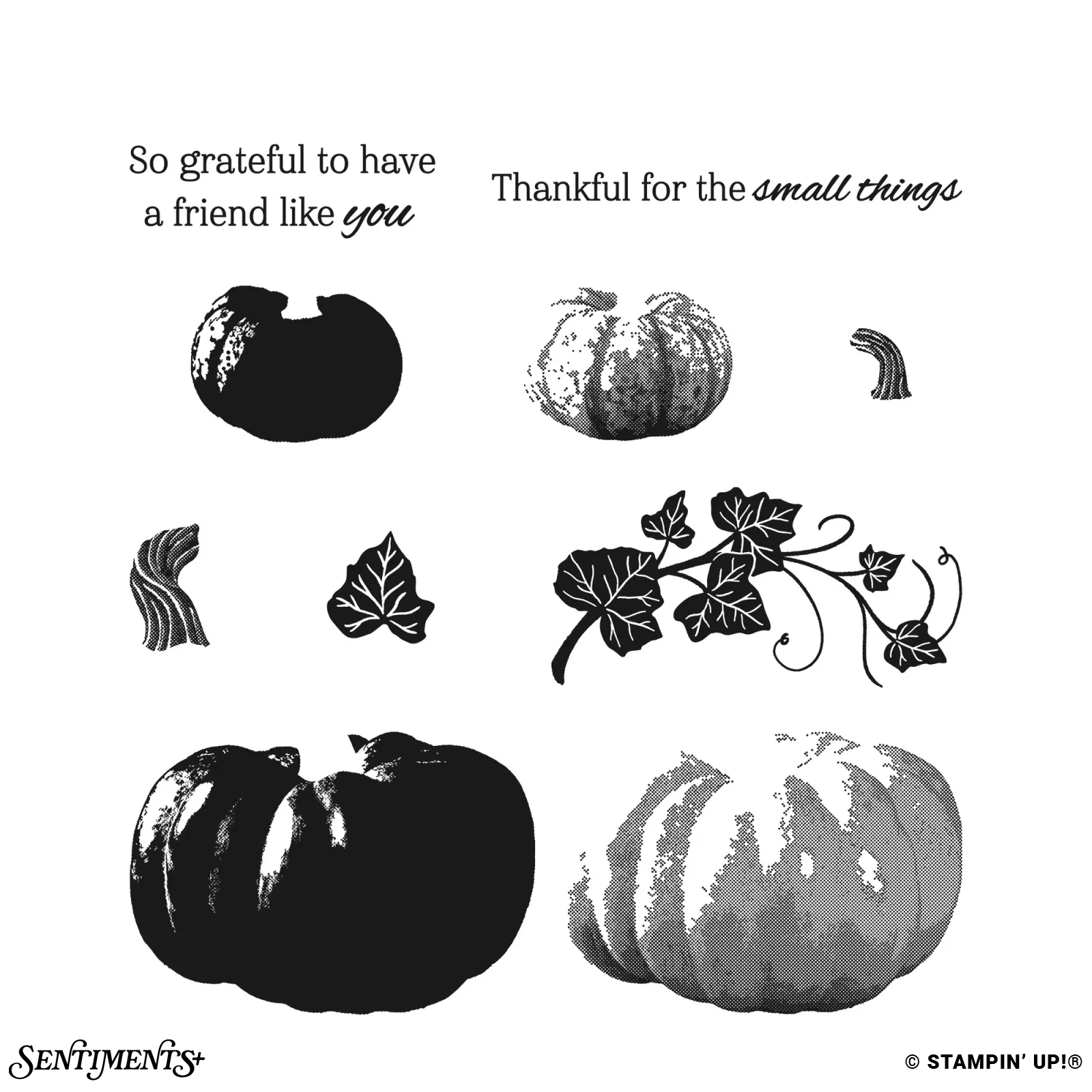 Beautiful Pumpkins Stamp Set: ©Stampin' Up!®